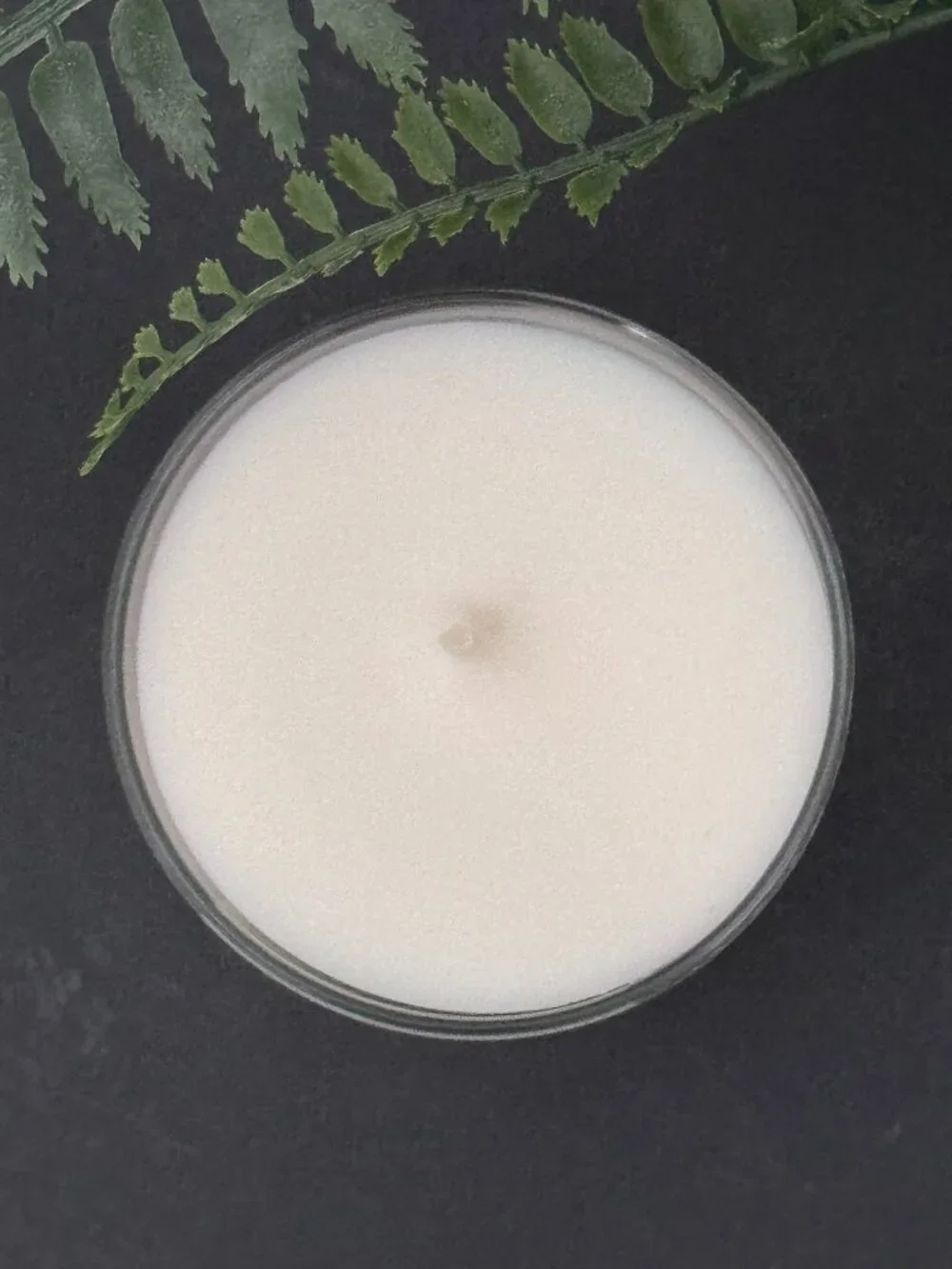 BBW Stress Relief Eucalyptus Spearmint Bath & Body Works Single Wick Candle